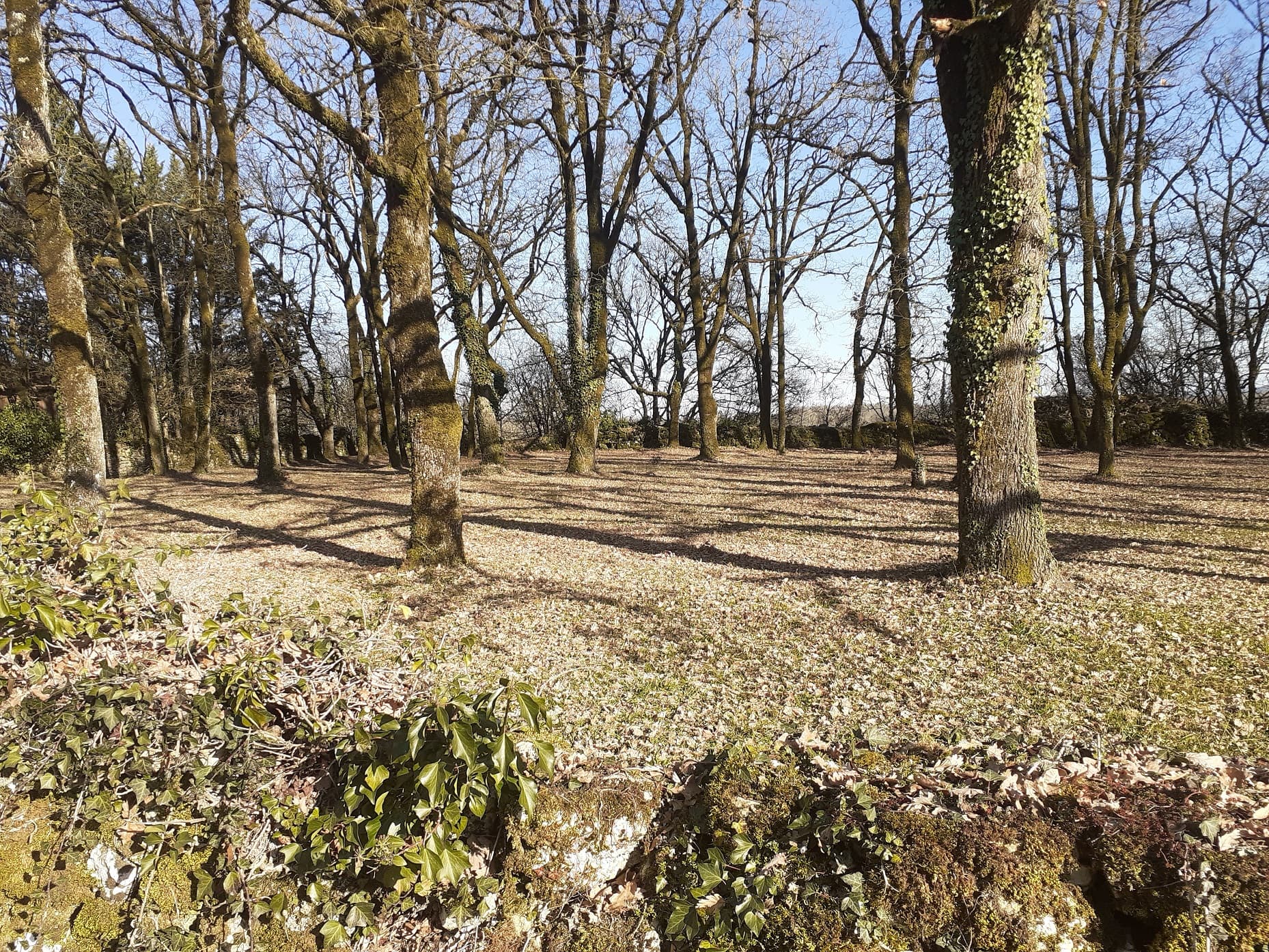 Camping à la Ferme "Ferme de Bouzan"