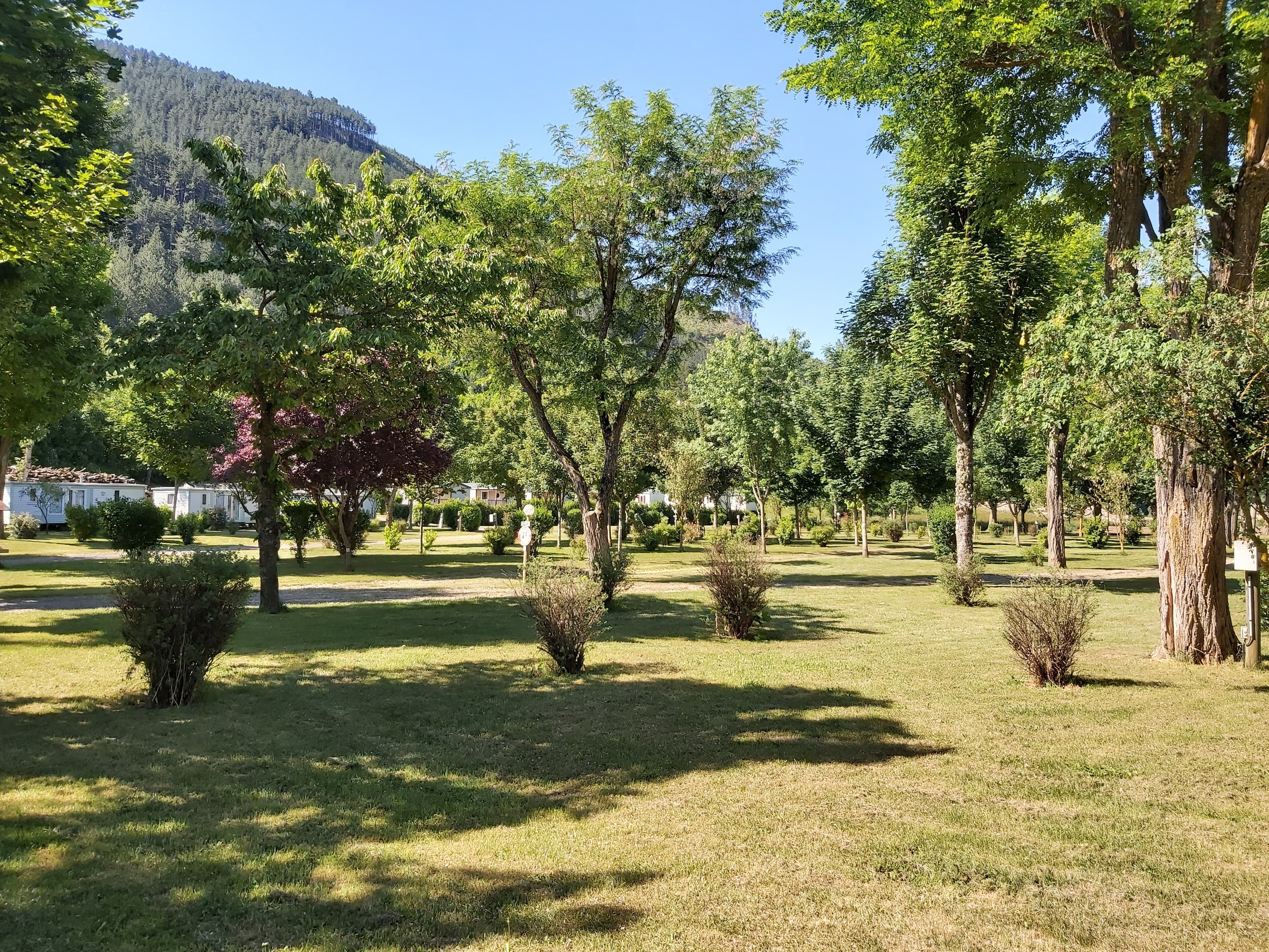 Photo de CAMPING LE TIVOLI