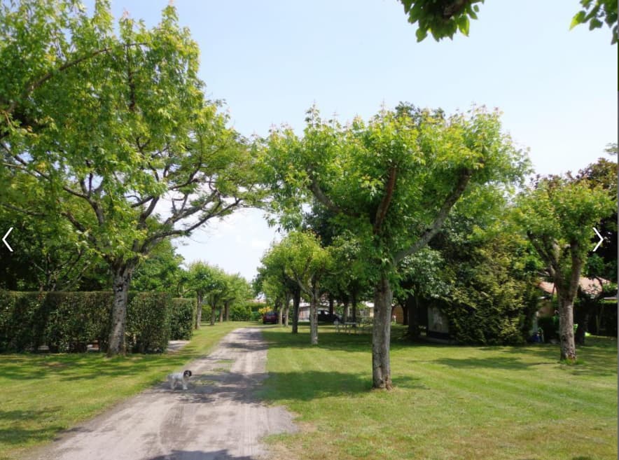 Camping rural Bireben