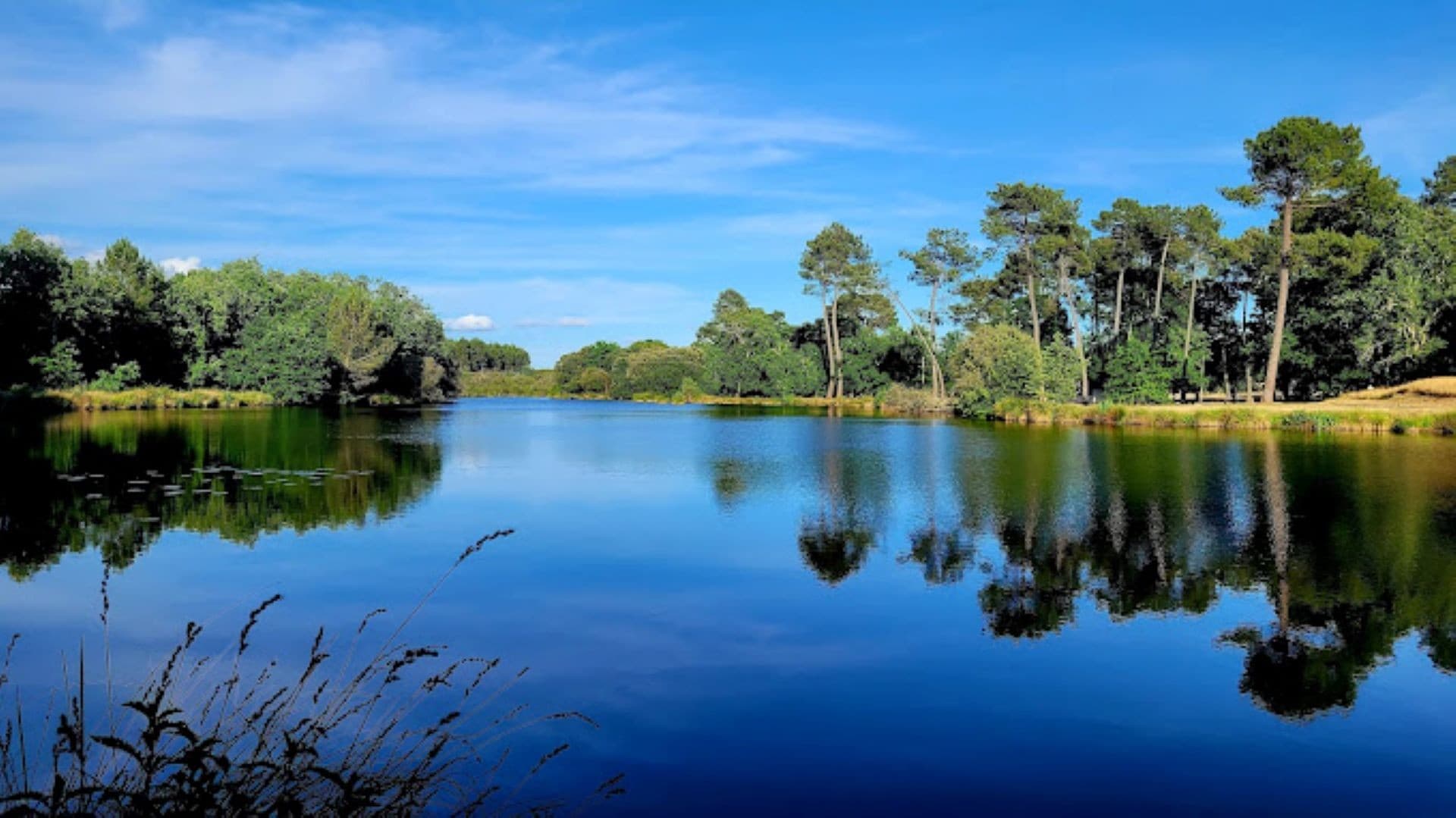 Photo de CAMPING DES FORGES