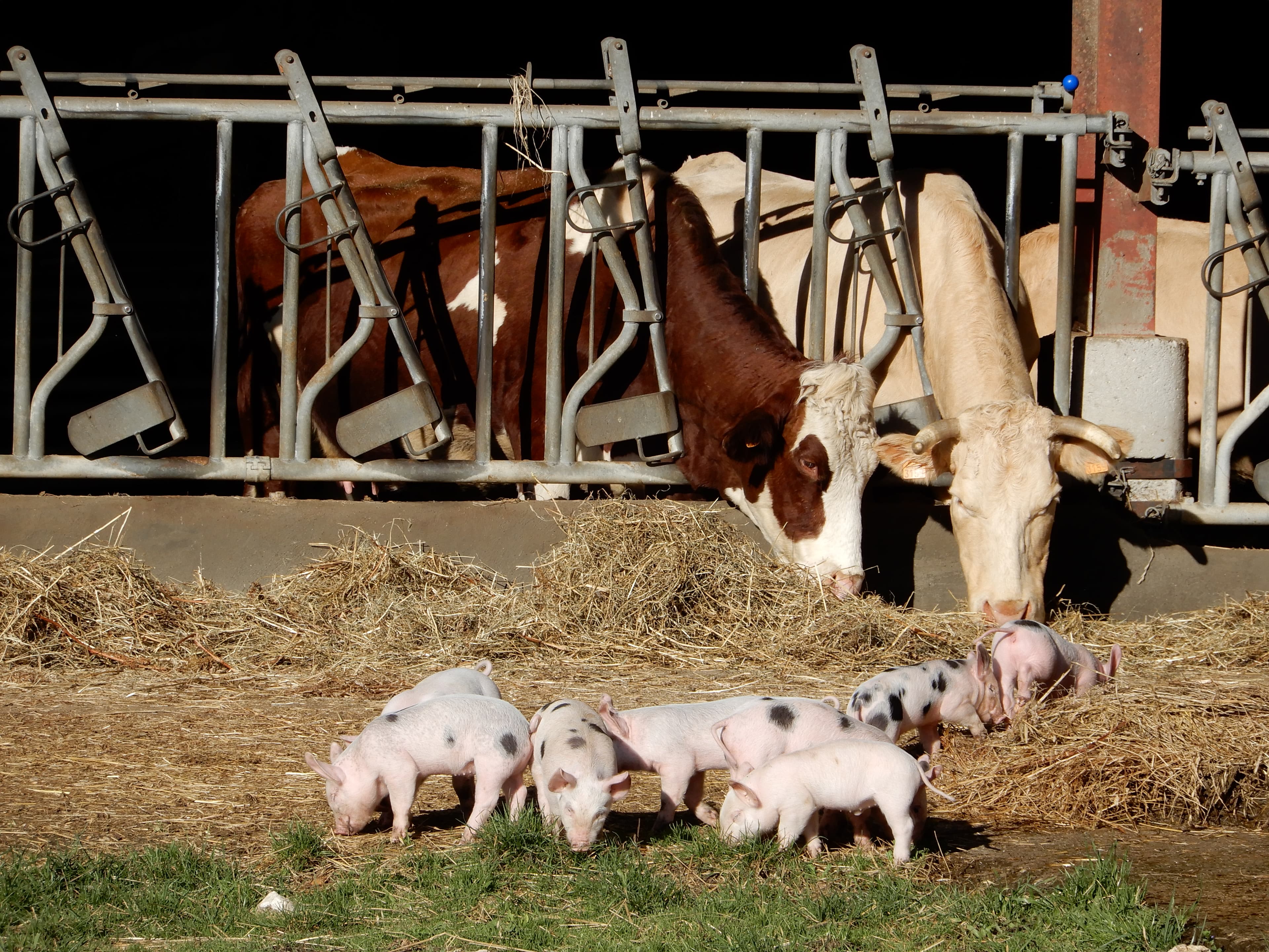 Ferme Bio de Crozefond