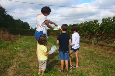 Domaine de Perreau