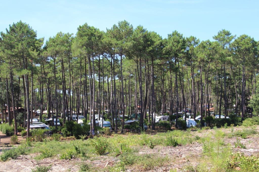 CAMPING DU CAP DE L'HOMY