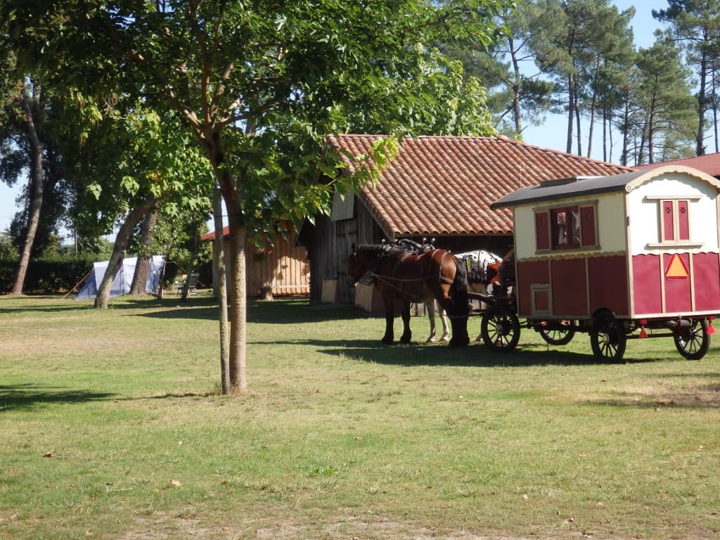 Camping Lassalle