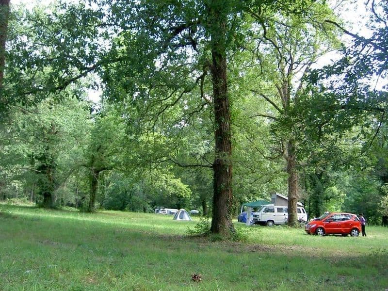 Le Petit Durbec