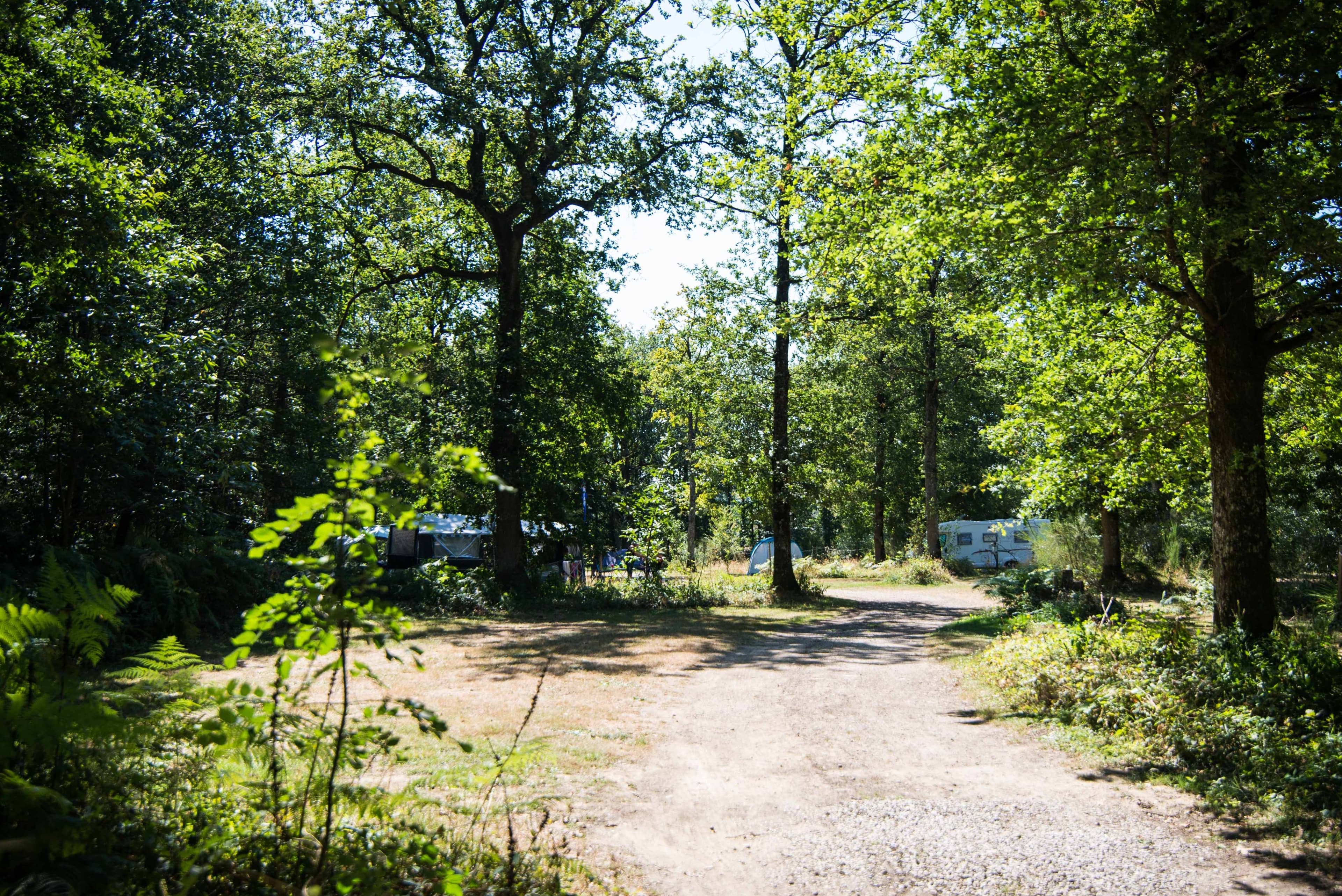 CAMPING DU BOIS DE SAINT HILAIRE