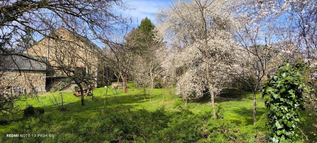Camping Puyberaud