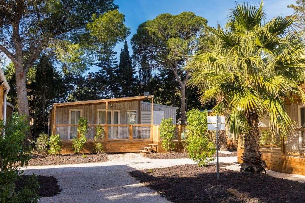 CALIFORNIA CAMPING OASIS