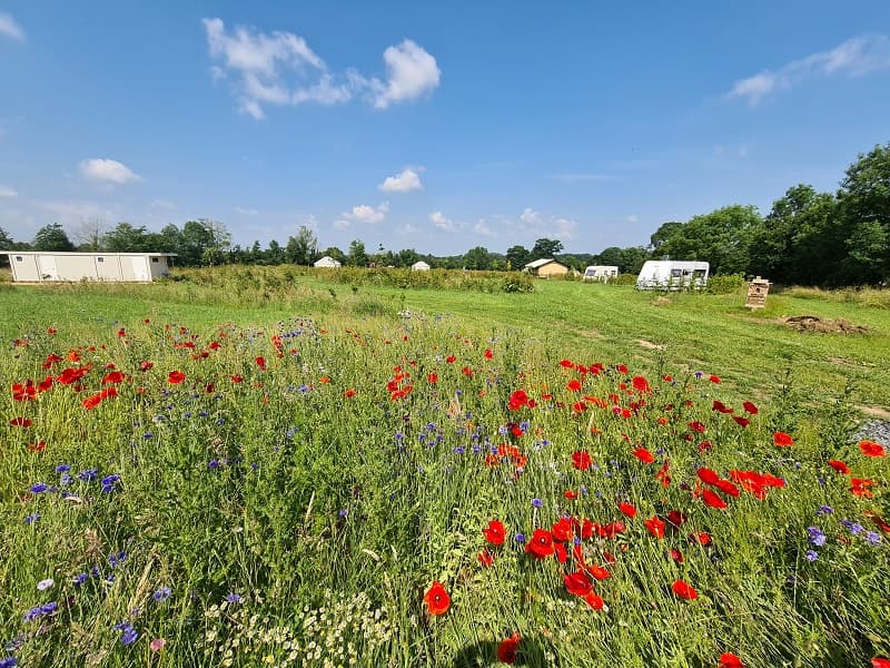 CAMPING LA CROISÉE DES CHEMINS
