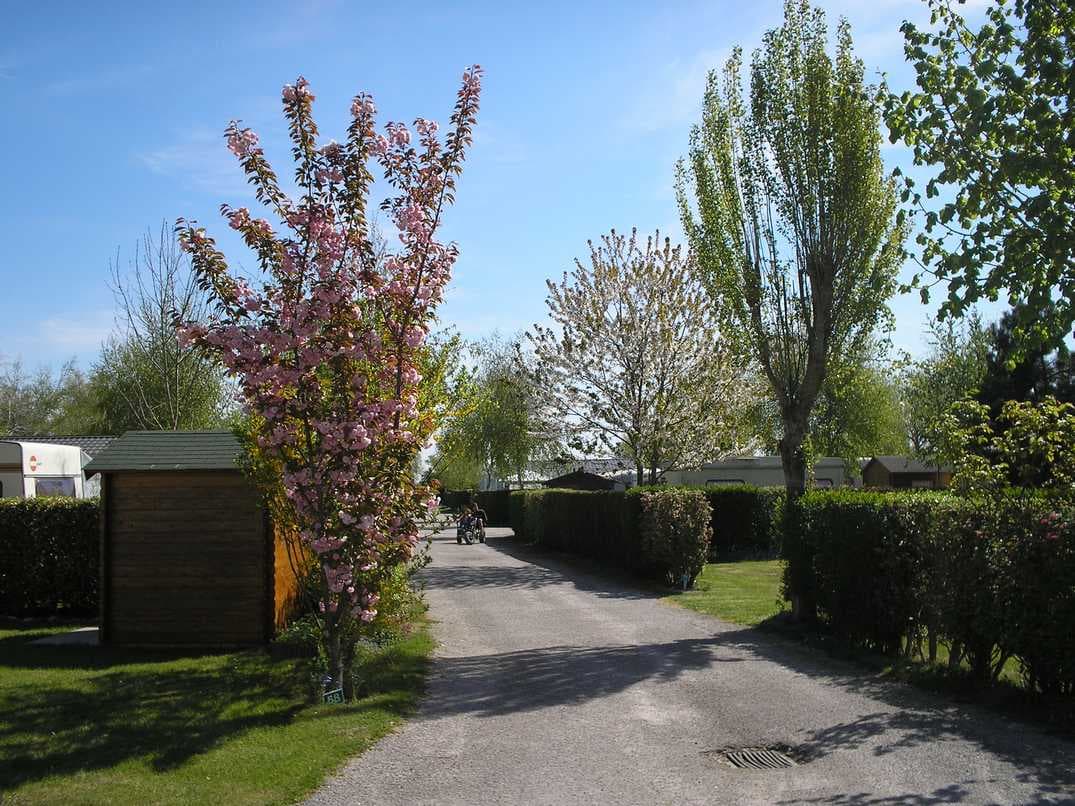 CAMPING LE CHAMP NEUF