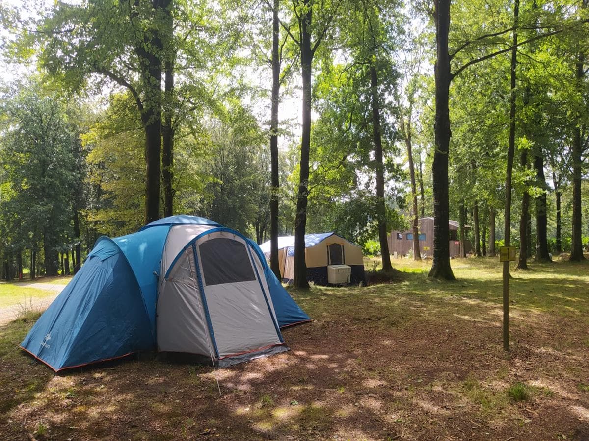 L'Etape en Forêt - Domaine d'Hébergements insolites